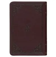 Englisch, King James Bibel, Taschenformat mit Goldschnitt - Kunstleder braun