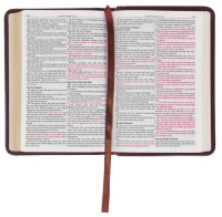 Englisch, King James Bibel, Taschenformat mit Goldschnitt - Kunstleder braun