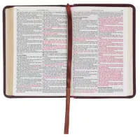 Englisch, King James Bibel, Taschenformat mit Goldschnitt - Kunstleder braun