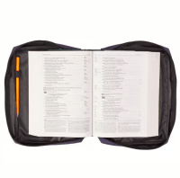 Bibelhülle Ichtus S - violett, mit Reissverschluss, Seitentasche und Tragehenkel