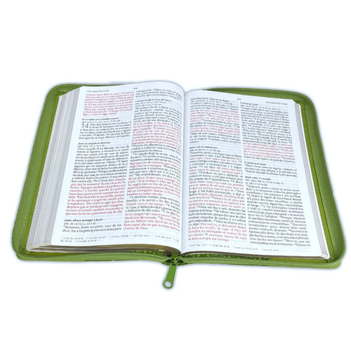 Spanisch, Bibel, Reina Valera 1960, Grossdruck - Kunstleder grün mit eingeprägtem Blattmotif,...