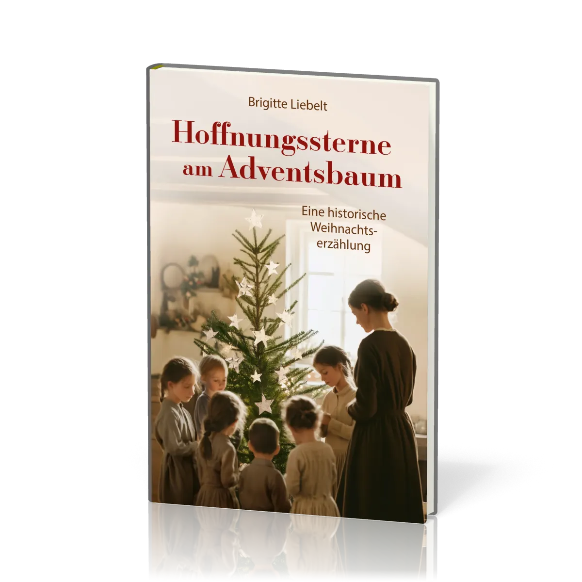 Hoffnungssterne am Adventsbaum - Eine historische Weihnachtserzählung
