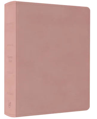 NeÜ bibel.heute Liebezurbibel (Schreibrandbibel AMARA) - Flexibler Kunstledereinband - rosa mit...