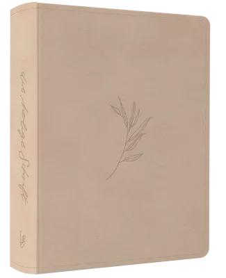 NeÜ bibel.heute Liebezurbibel (Schreibrandbibel OLIVE) - Flexibler Kunstledereinband - Beige mit...