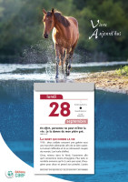 Vivre aujourd'hui - calendrier éphéméride, à suspendre et effeuiller, grande plaque