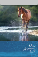 Vivre aujourd'hui - calendrier éphéméride, à suspendre et effeuiller, grande plaque