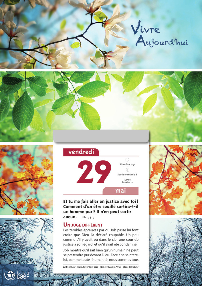 Vivre aujourd'hui - calendrier éphéméride, à suspendre et effeuiller, grande plaque