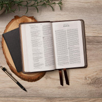 Englisch, Bibel New King James Verison, kompakt, bordeaux