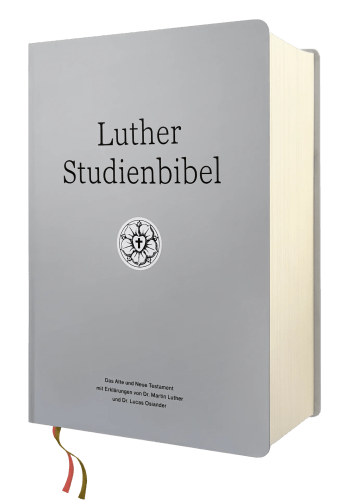 Luther Studienbibel - gebunden, Grossdruckausgabe, grau