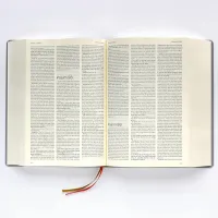 Luther Studienbibel - gebunden, Grossdruckausgabe, grau