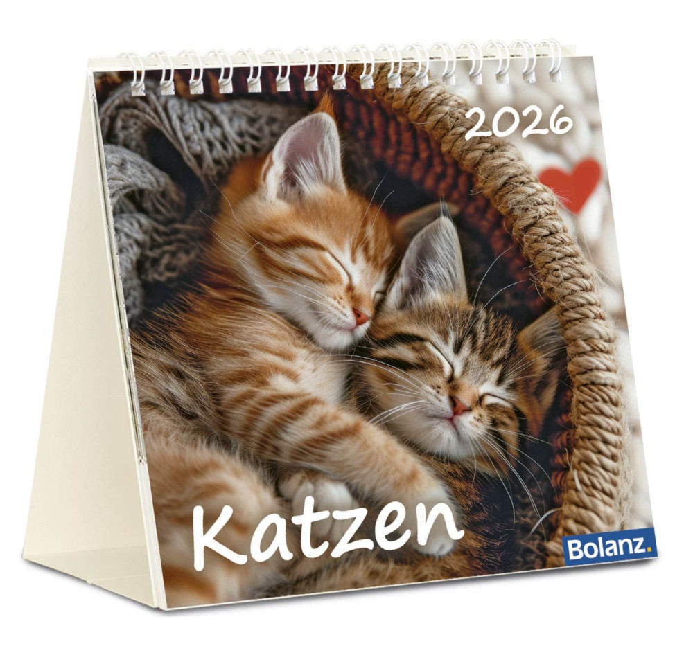 Kalender Katzen - Tischkalender