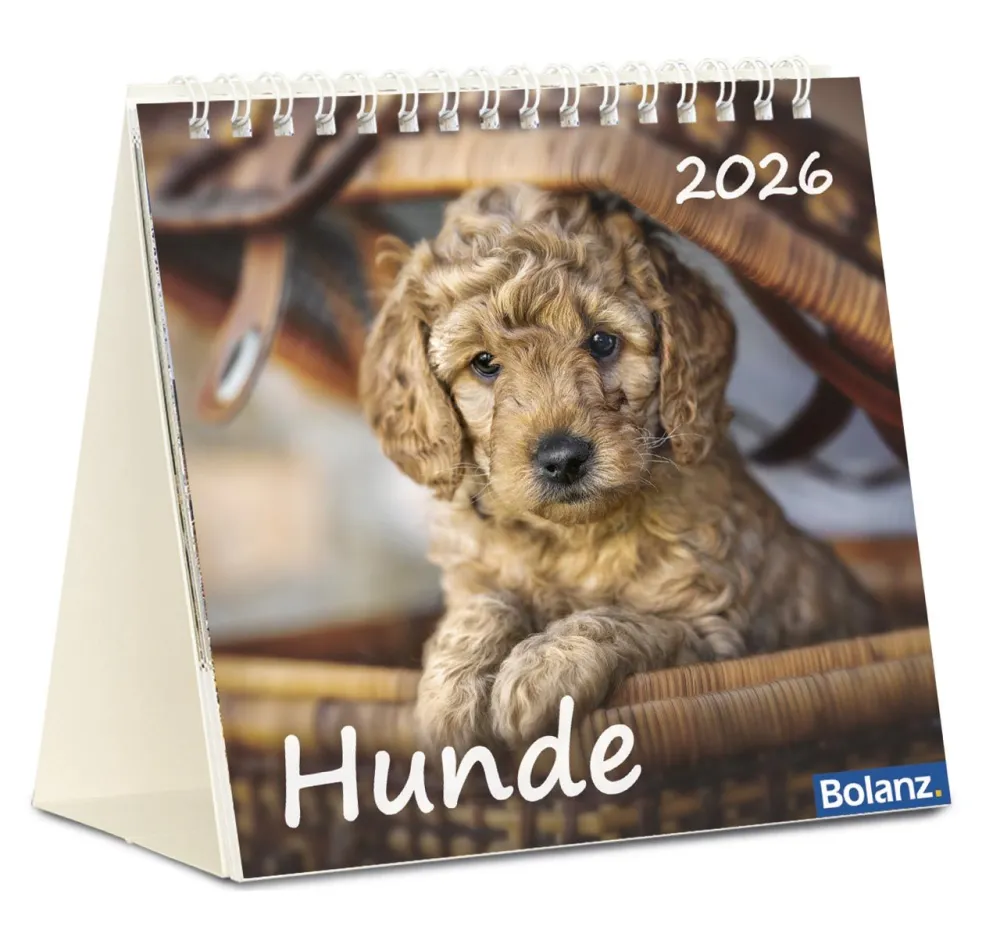 Kalender Hunde - Tischkalender