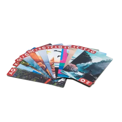 The Four Cards, deutsch