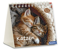 Kalender Katzen - Auf leisen Pfoten - Minikalender