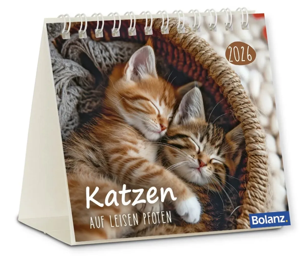 Katzen - Auf leisen Pfoten - Minikalender
