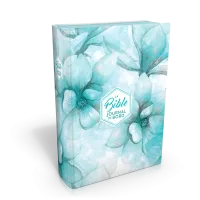 Bible Segond 21 Journal de bord - couverture rigide, toile imprimée motifs, jaspage