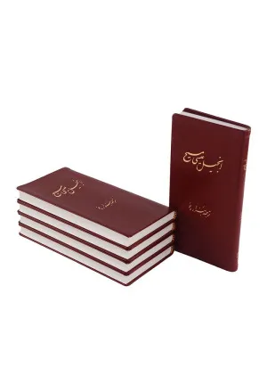 New Testament, Millennium Edition, Red leather simile, Plain (Persisch / Farsi)