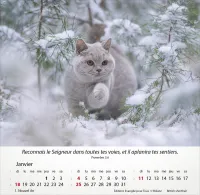 Chats, Merveilles de la création - Calendrier de table