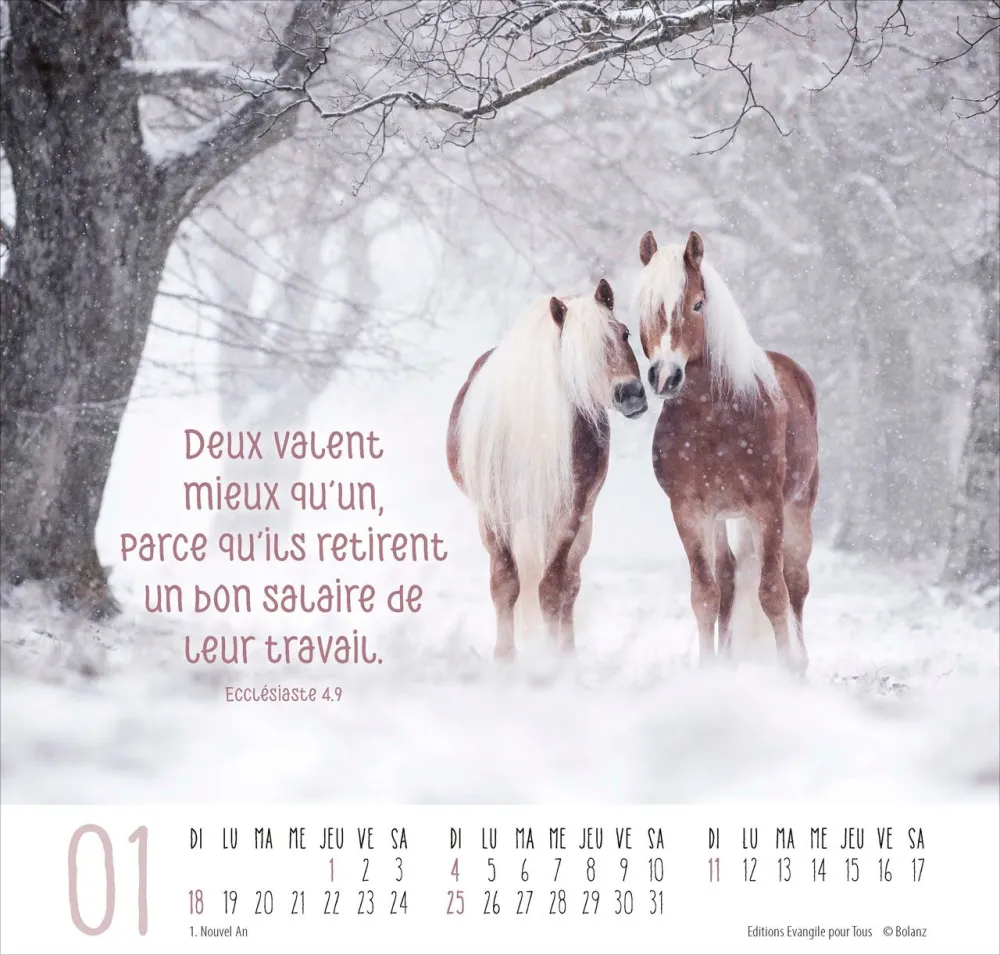 Meilleurs amis - Calendrier grand format