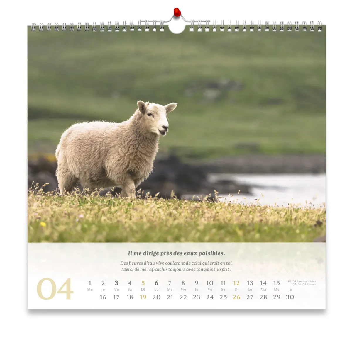 Psaume 23 - Grand format - calendrier mural