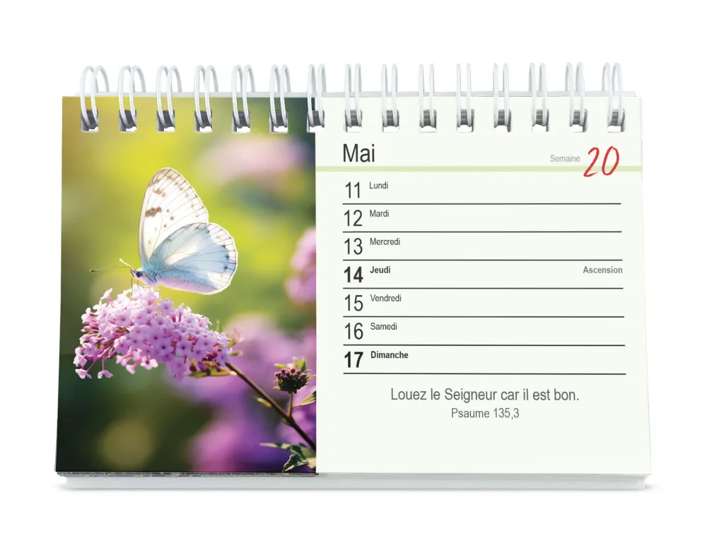 Tu m'accompagnes - calendrier de table