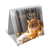 Nos amis les chats - Petit calendrier avec 12 belles photos de chats