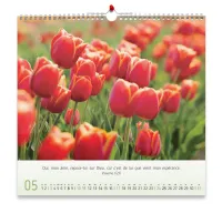 Floréus - calendrier