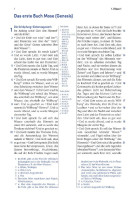 Elberfelder Bibel Taschenausgabe - Leder grau