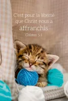 Calendrier format carte de crédit - Motif Chat (Galates 5.1)