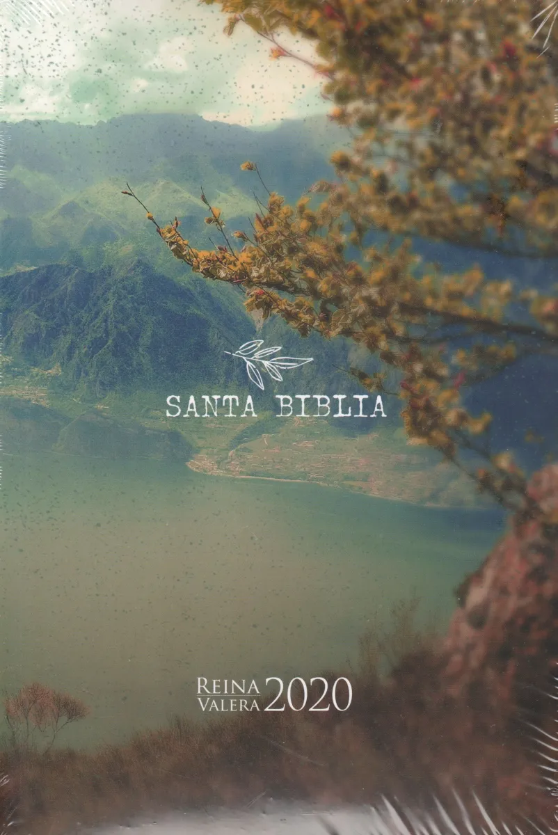 Espagnol, Bible Reina Valera 2020, gros caractères, la création