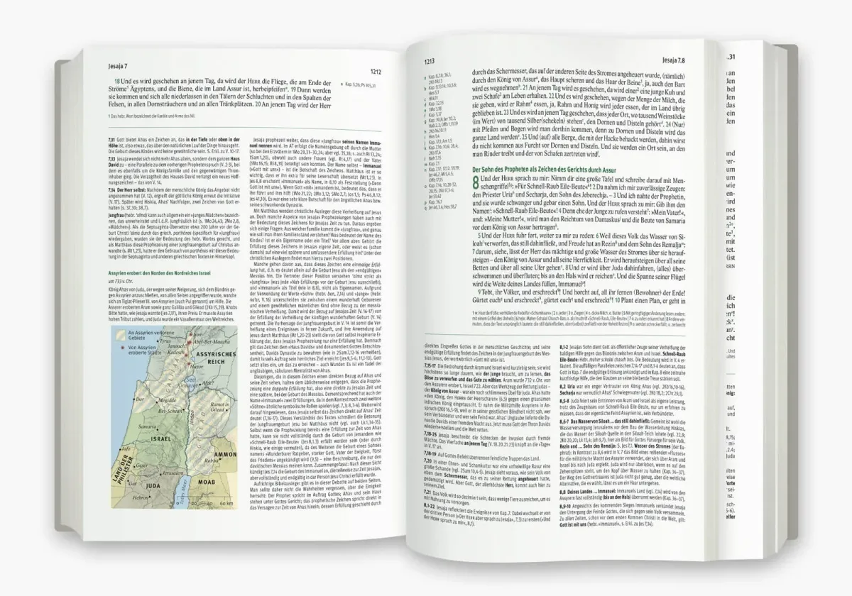 Elberfelder Bibel - Leder Grau mit Goldschnitt - Die große Studien- und Kommentarausgabe