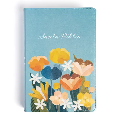 Espagnol, Bible, Reina Valera 1960, gros caractères, moyen format, turquoise - letra grande...