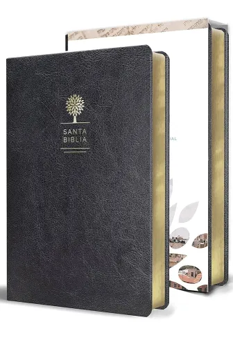 Spanisch, Bibel Reina Valera 1960, Grossdruck