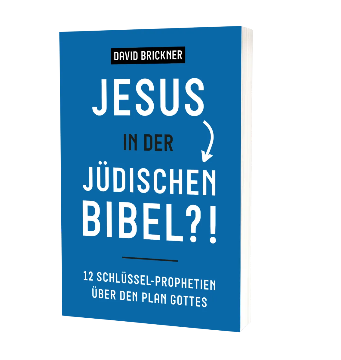 Jesus in der jüdischen Bibel - 12 Schlüssel-Prophetien über den Plan Gottes