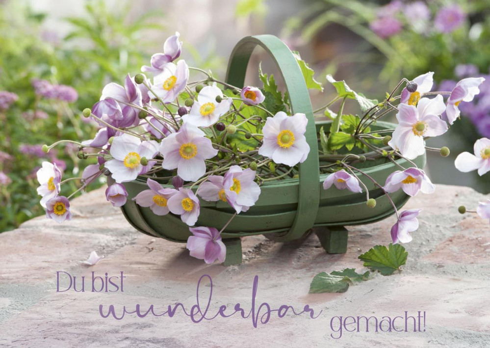 Postkartenbox Wir feiern im Garten - 12 verschiedene Postkarten in einer Box mit Magnetverschluss