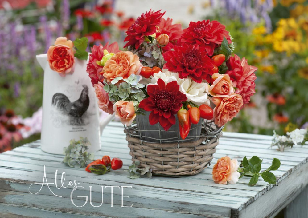 Postkartenbox Wir feiern im Garten - 12 verschiedene Postkarten in einer Box mit Magnetverschluss