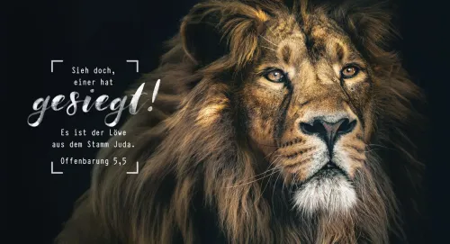 Metallschild Löwe - Offenbarung 5,5