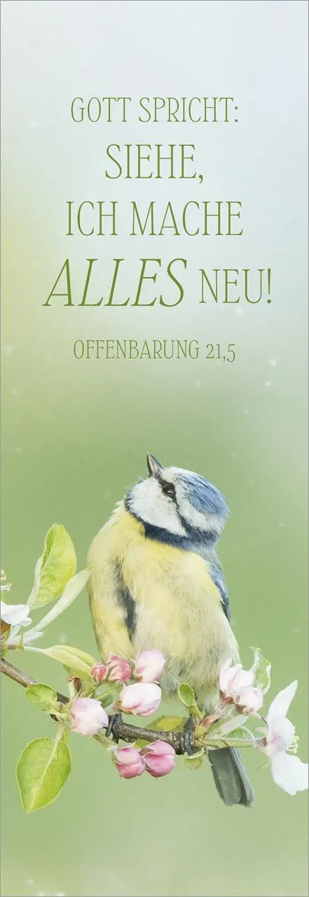 Lesezeichen Riedel Jahreslosung 2027 - Jesaja 41.10  (10 Karten pro Packung)