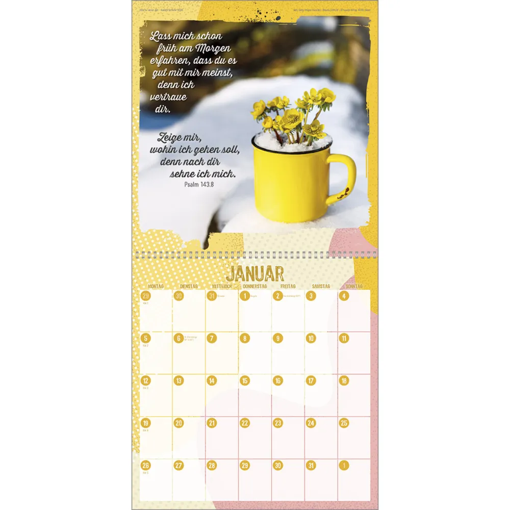 Alles zu seiner Zeit - Terminer für die ganze Familie mit Psalmworten - Wandkalender