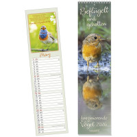 Beflügelt und gehalten - Faszinierende Vögel - Streifenkalender