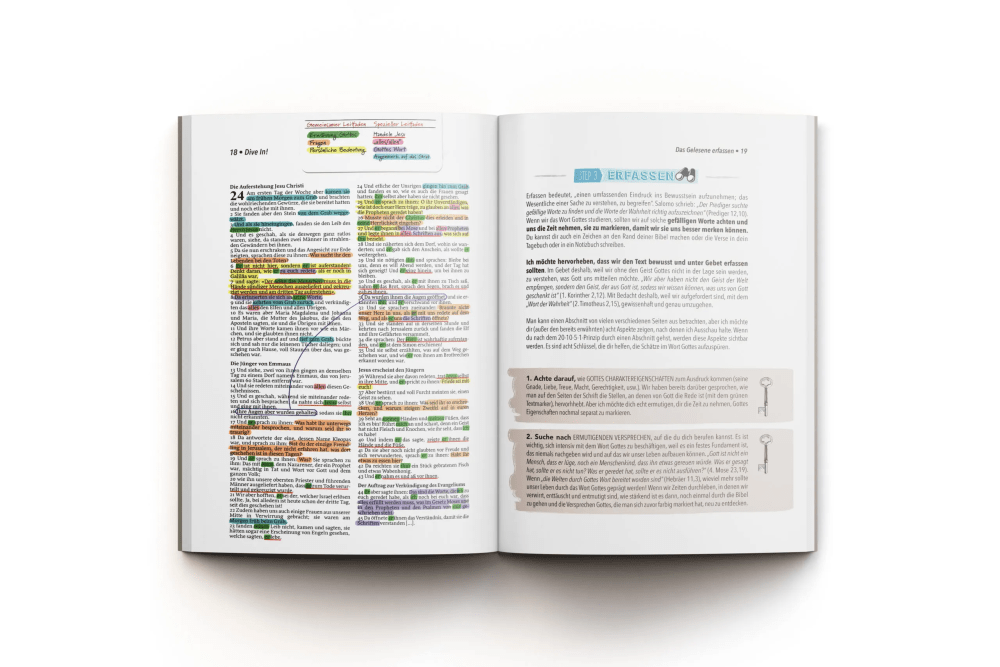 Dive In! - Ein praktischer Leitfaden für das eigenständige Bibelstudium