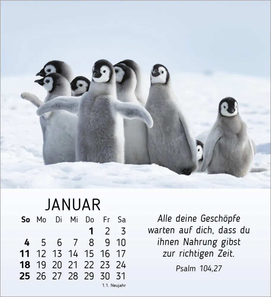 Meine kleinen Freunde - Tischkalender