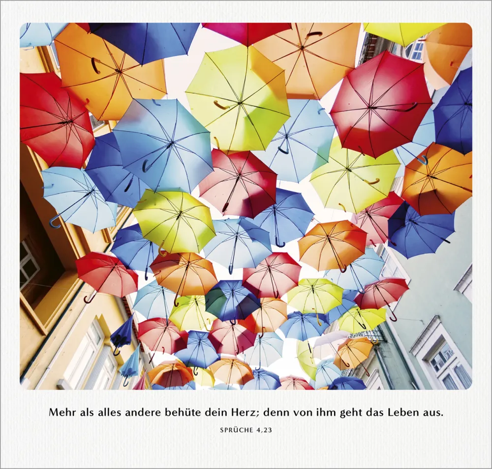 Familien-Terminplaner - Planer