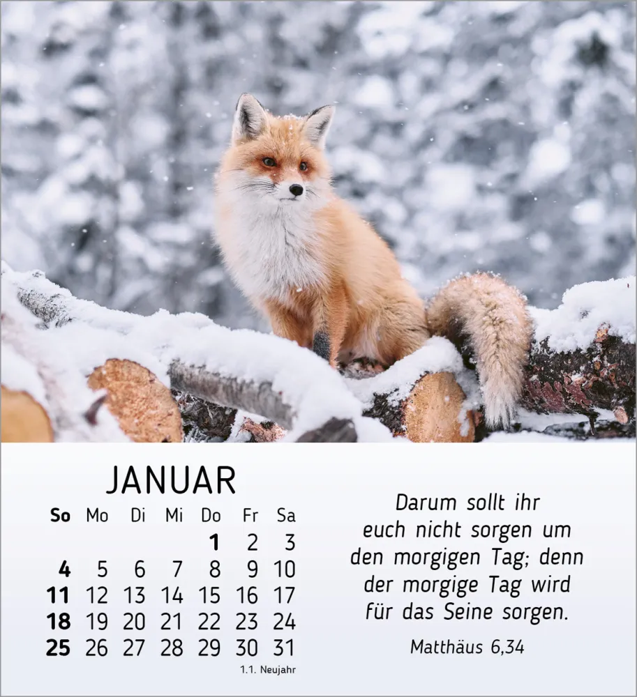 Stille Begegnungen - Tischkalender