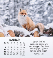 Stille Begegnungen - Tischkalender