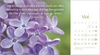 Augenblicke der Anbetung - Postkartenkalender mit Blumenfotos