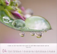 Gesichter der Natur - Wandkalender