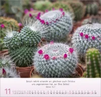 Blumen Impressionen - Wandkalender