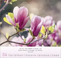 Blumen Impressionen - Wandkalender