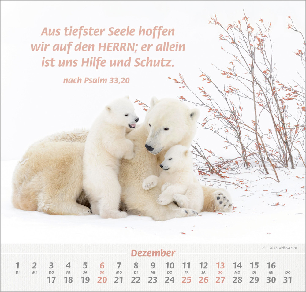 Ich hab dich gern - Wandkalender